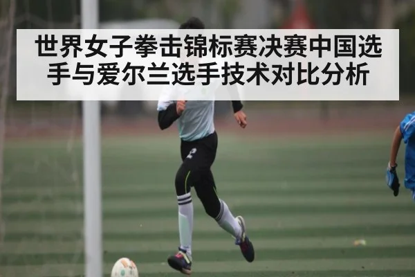 世界女子拳击锦标赛决赛中国选手与爱尔兰选手技术对比分析